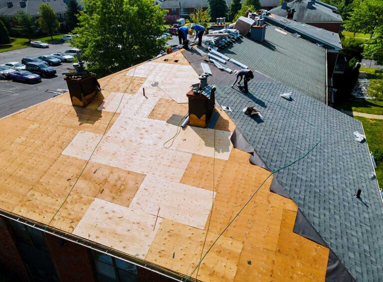 A homeowner examining a shingle roof for small dents and missing granules after a hailstorm.